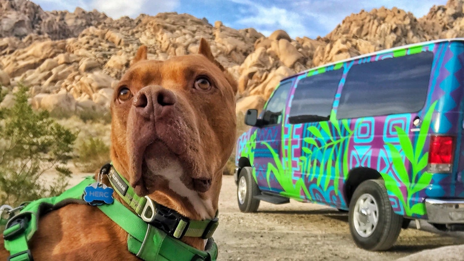 Pet Friendly RV Rentals Companies